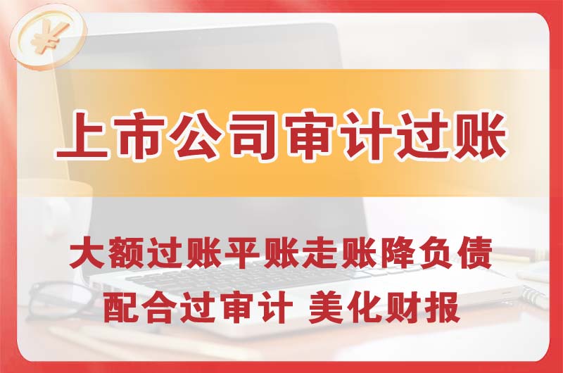 南岗上市公司审计过账
